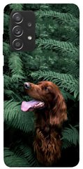 Чехол itsPrint Собака в зелени для Samsung Galaxy A72 4G / A72 5G