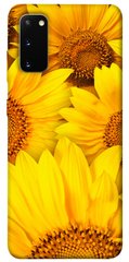 Чохол itsPrint Букет соняшників для Samsung Galaxy S20