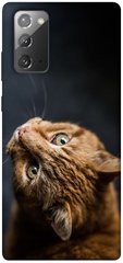 Чехол itsPrint Рыжий кот для Samsung Galaxy Note 20