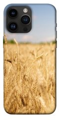 Чохол itsPrint Поле пшениці для Apple iPhone 14 Pro Max (6.7")