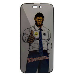 Захисне скло Privacy 5D Anti-Static (тех.пак) для Apple iPhone 15 / 16 (6.1") Чорний