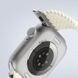 Ремінець Dux Ducis Mixture Ultra для Apple Watch 38/40/41/42mm(ser.10) Starlight фото 5