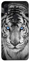 Чехол itsPrint Бенгальский тигр для Xiaomi Redmi Note 7 / Note 7 Pro / Note 7s