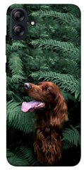 Чохол itsPrint Собака в зелені для Samsung Galaxy A04e