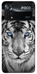 Чехол itsPrint Бенгальский тигр для Xiaomi Poco X4 Pro 5G