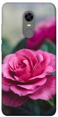 Чехол itsPrint Роза в саду для Xiaomi Redmi 5 Plus / Redmi Note 5 (Single Camera)