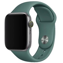 Силиконовый ремешок для Apple watch 42mm/44mm/45mm/49mm Зеленый / Pine green