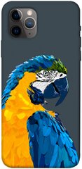 Чохол itsPrint Папуга для Apple iPhone 11 Pro Max (6.5")