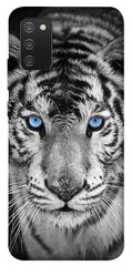 Чохол itsPrint Бенгальський тигр для Samsung Galaxy A02s