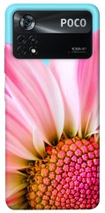 Чехол itsPrint Цветочные лепестки для Xiaomi Poco X4 Pro 5G