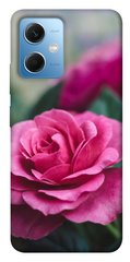 Чохол itsPrint Троянда у саду для Xiaomi Poco X5