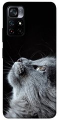 Чехол itsPrint Cute cat для Xiaomi Poco M4 Pro 5G