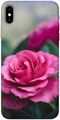 Чохол itsPrint Роза в саду для Apple iPhone X (5.8")