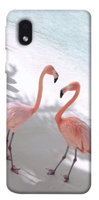 Чохол itsPrint Flamingos для Samsung Galaxy M01 Core / A01 Core