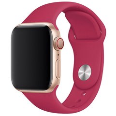Силиконовый ремешок для Apple watch 42mm/44mm/45mm/49mm Малиновый / Pomegranate