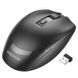 Мышь беспроводная Borofone BG7 Platinum 2.4G Black фото 1