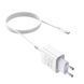 СЗУ Hoco C81A Asombroso 2.1A (1USB-A) + кабель USB to Type-C Белый фото 4