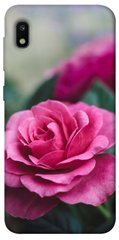 Чехол itsPrint Роза в саду для Samsung Galaxy A10 (A105F)