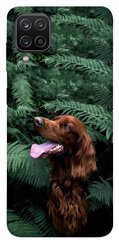 Чохол itsPrint Собака в зелені для Samsung Galaxy A12