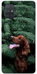 Чохол itsPrint Собака в зелені для Samsung Galaxy A71
