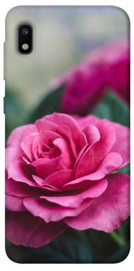 Чохол itsPrint Троянди в саду для Samsung Galaxy A10 (A105F)
