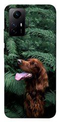 Чехол itsPrint Собака в зелени для Xiaomi Redmi Note 12S