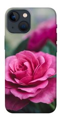 Чохол itsPrint Роза в саду для Apple iPhone 13 mini (5.4")