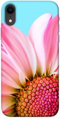 Чохол itsPrint Квіткові пелюстки для Apple iPhone XR (6.1")
