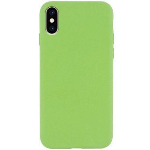 Чехол Silk Full Protective (AA) NO LOGO для Apple iPhone X / XS (5.8") Мятный / Mint