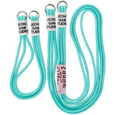 Чехол TPU two straps California для Apple iPhone 13 Pro Max (6.7") Бирюзовый / Marine Green