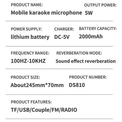 Уценка Караоке Микрофон-колонка DS810 Поврежденная упаковка / Gold