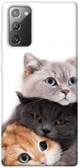 Чехол itsPrint Три кота для Samsung Galaxy Note 20