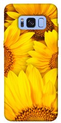 Чохол itsPrint Букет соняшників для Samsung G950 Galaxy S8