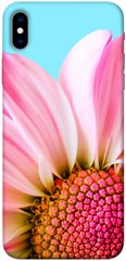 Чохол itsPrint Квіткові пелюстки для Apple iPhone XS Max (6.5")