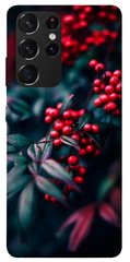 Чохол itsPrint Red berry для Samsung Galaxy S21 Ultra