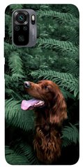 Чехол itsPrint Собака в зелени для Xiaomi Redmi Note 10 / Note 10s
