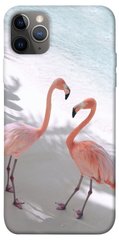 Чохол itsPrint Flamingos для Apple iPhone 12 Pro Max (6.7")