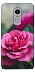 Чехол itsPrint Роза в саду для Xiaomi Redmi Note 4X / Note 4 (Snapdragon)
