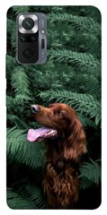 Чехол itsPrint Собака в зелени для Xiaomi Redmi Note 10 Pro Max