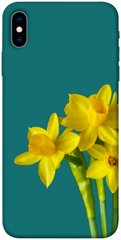 Чехол itsPrint Golden Daffodil для Apple iPhone X (5.8")