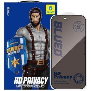Защитное 2.5D стекло Blueo Full Cover Anti-Peep для Apple iPhone 17 / 17 Pro / 16 Pro (6.3") Черный