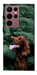 Чехол itsPrint Собака в зелени для Samsung Galaxy S22 Ultra