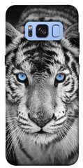 Чохол itsPrint Бенгальський тигр для Samsung G950 Galaxy S8