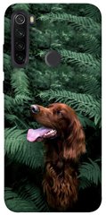 Чехол itsPrint Собака в зелени для Xiaomi Redmi Note 8T