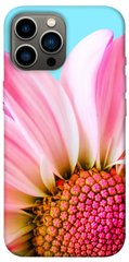 Чохол itsPrint Квіткові пелюстки для Apple iPhone 13 Pro Max (6.7")