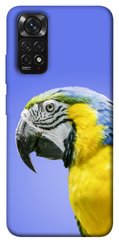 Чехол itsPrint Попугай ара для Xiaomi Redmi Note 11 (Global) / Note 11S
