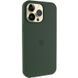 Чехол Silicone Case (AA) Logo with MagSafe для Apple iPhone 13 Pro (6.1") Зеленый / Cyprus Green