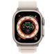 Ремешок Alpine Loop для Apple Watch 42(ser.1-3)/44/45/46/49mm (m/l) Серый / Starlight фото 2