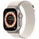 Ремешок Alpine Loop для Apple Watch 42(ser.1-3)/44/45/46/49mm (m/l) Серый / Starlight фото 1
