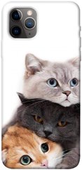 Чохол itsPrint Три коти для Apple iPhone 11 Pro Max (6.5")